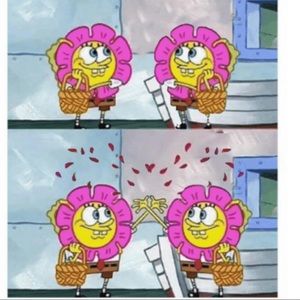 Meet your Posher, Ally